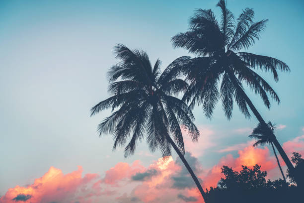 istock Beautiful sunset on Beach Thailand ,Summer vacation 1046311780