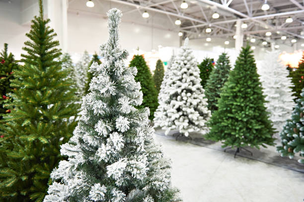 Decorative artificial christmas trees in store stock photo