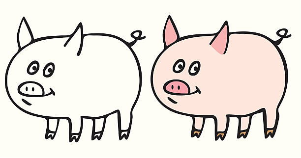 pig vector art illustration