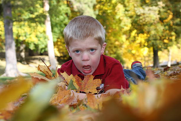 Crazy kind in the fall leaves stock photo