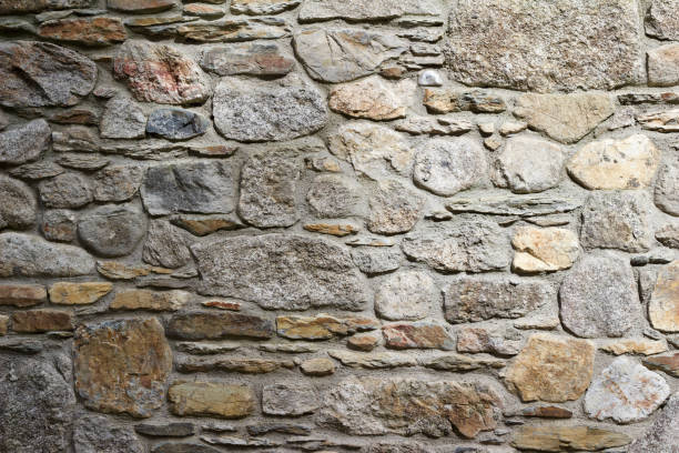 19th Century gray stone wall background This abstract background image features a sunlit centuries old gray and brown color European stone wall with sparse growing and dried vegetation. old stone wall stock pictures, royalty-free photos & images