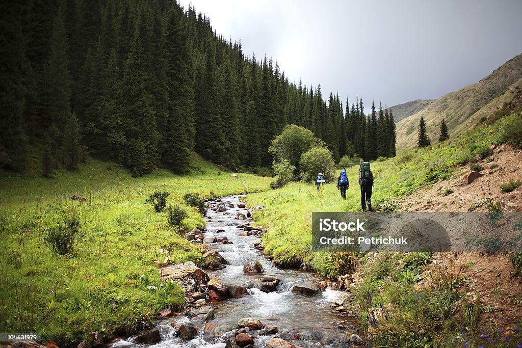 Group of backpackers in mountains Group of backpackers walking in summer mountains Forest Stock Photo