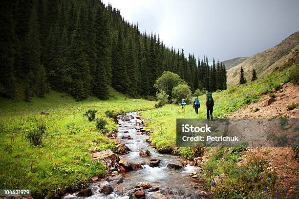 Group Of Backpackers In Mountains Stock Photo - Download Image Now - Forest, Walking, Active Lifestyle