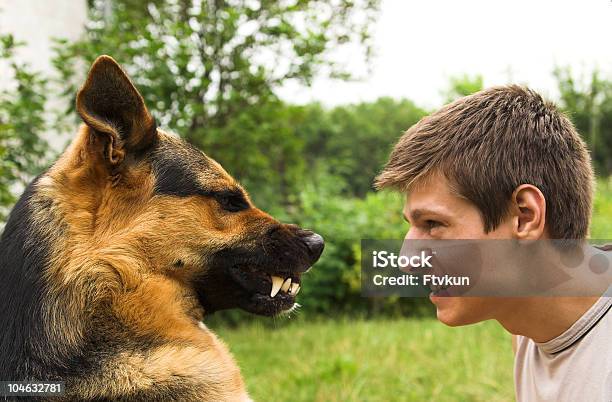 Foto de Animal E Homem e mais fotos de stock de Cão - Cão, Medo, Pessoas