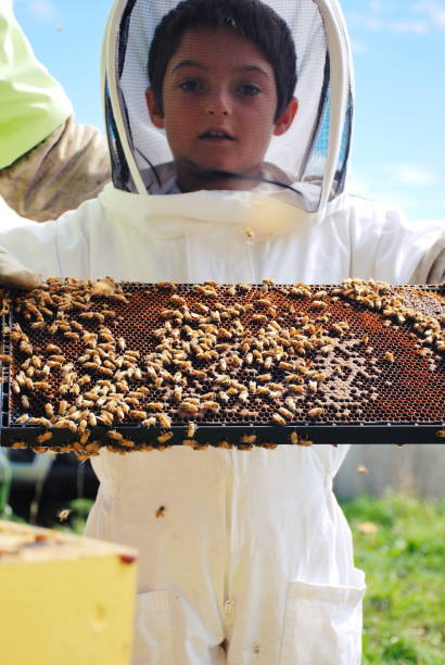 istock Child helps his Father with Beekeeping 1046330056