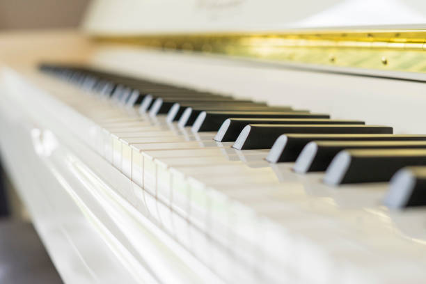 istock Side view of piano keys. 1046340814