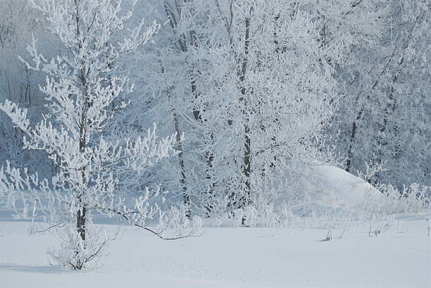 Canadian winter stock photo