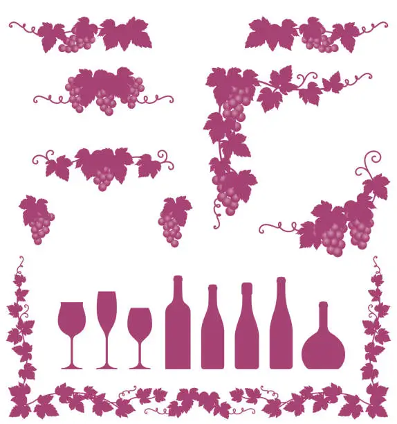 Vector illustration of decorative grape illustration.