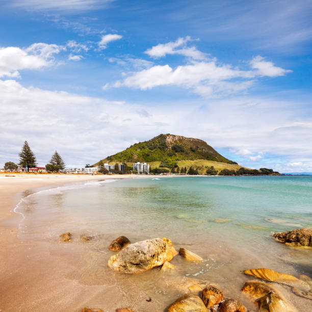 The Volcano Mount Maunganui New Zealand The volcano Mount Maunganui on the coast in Bay of Plenty Region, New Zealand. mount maunganui stock pictures, royalty-free photos & images