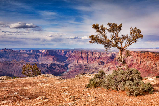 istock Grand Canyon from Desert View Overlook USA 1046348828