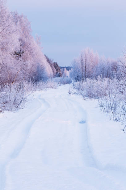 istock Winter road in snow near the forest 1046352158