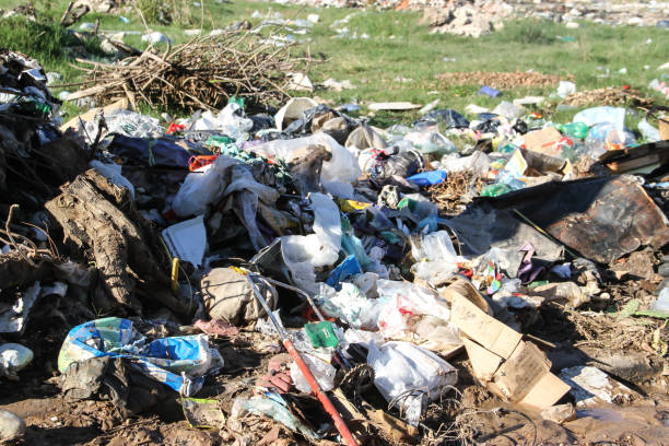 istock landfill with human waste that contaminates the environment 1046354278