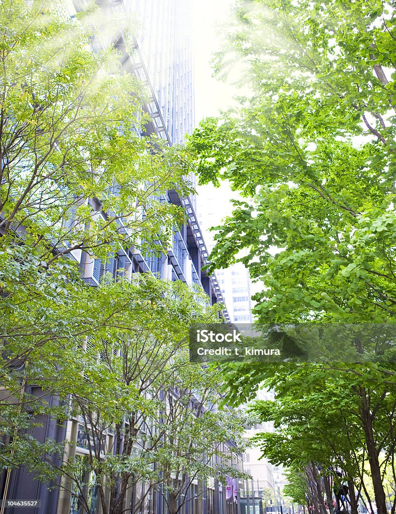 木々やオフィスビル - 緑色のロイヤリティフリーストックフォト
