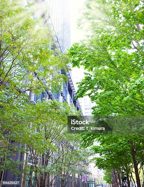 木々やオフィスビル - 緑色のストックフォトや画像を多数ご用意 - 緑色, オフィスビル, 丸の内