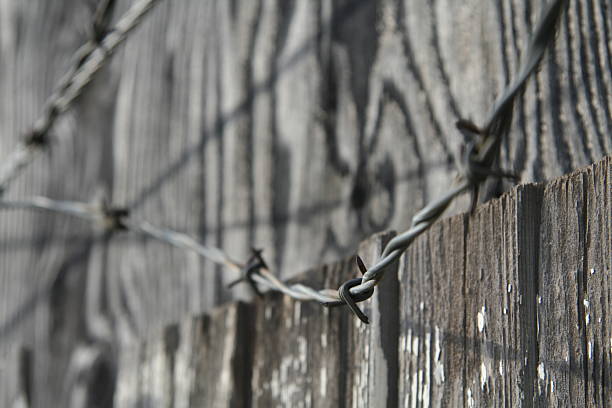 This barbed wire was hanging over a weathered old fence.