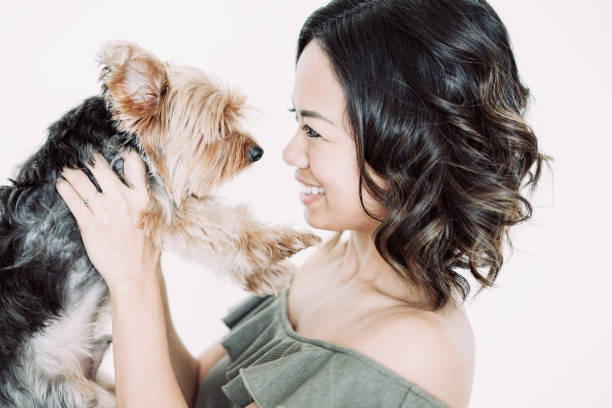 istock Smiling Pretty Woman Raising Yorkshire Terrier 1046366684