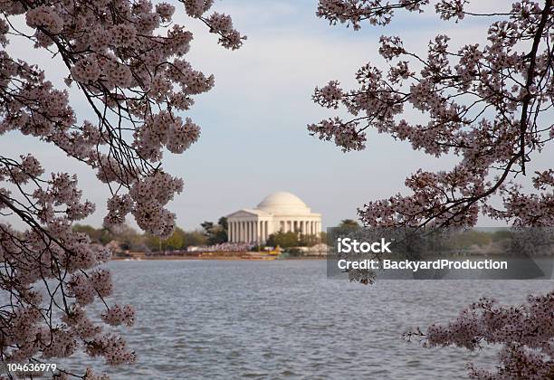 ジェファーソン記念館に桜の花 - アメリカ合衆国のストックフォトや画像を多数ご用意 - アメリカ合衆国, カラー画像, トーマス ジェファーソン