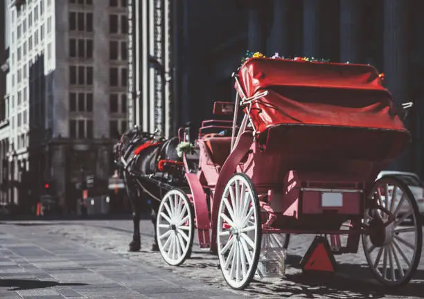 Horsecarriage ride in Montreal,Canada.