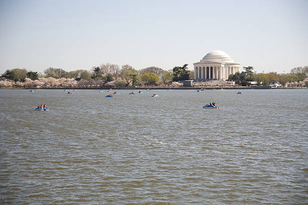 Peddle Boating at the Jefferson Memorial stock photo