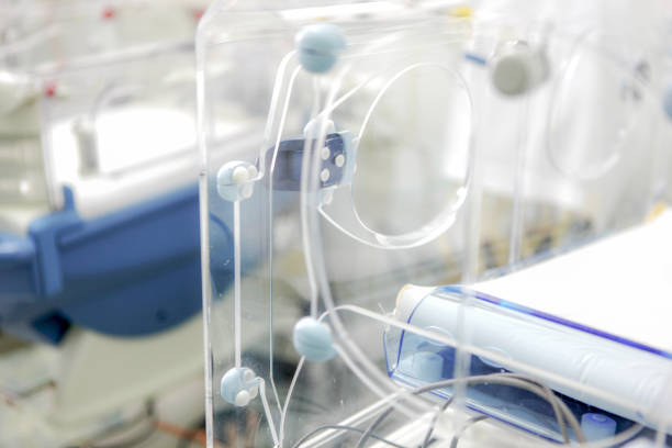 istock Newborn baby in hospital 1046374544