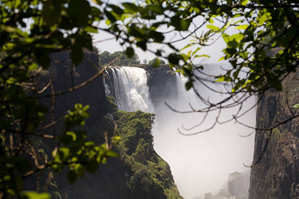 Victoria Falls Through Trees stock photo