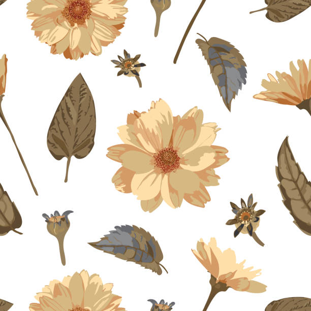 bezszwowy wzór z kwiatami chryzantemy. wektorowy zestaw kwiatowy z izolowanymi żółtymi roślinami. suszone kwiaty - 3622 stock illustrations