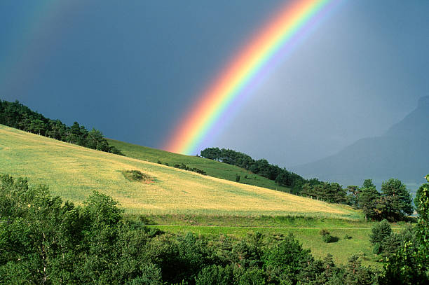 the end of a rainbow with a field in the foreground - regnbåge bildbanksfoton och bilder