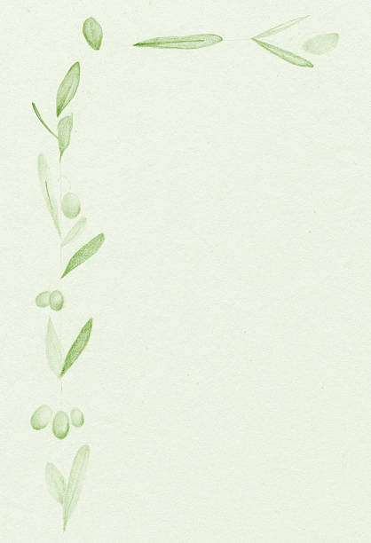 рука рисунок оливковая ветвь. - emiliano martinez stock illustrations
