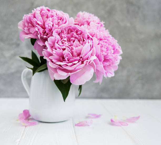 istock Pink peony flowers 1046377488