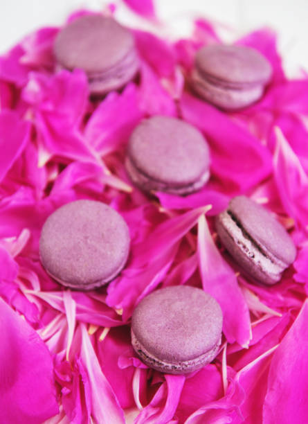 istock Pink peony petals with macarons 1046377516