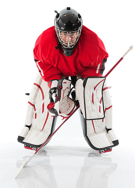 Ice hockey goalie posing in full gear stock photo