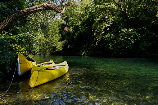 Conceptual image of adventure and kayak camping at the river/ Wildlife
