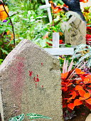 halloween-garten-deko.jpg?b=1&s=170x170&k=20&c=YY1KWdpD7Tx4TB4x_Wt6hvA6L_zZ_sNyIWwUW-GhIHw=