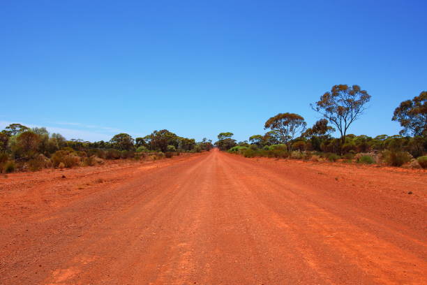 istock Endless outback roads in Australia 1046390802