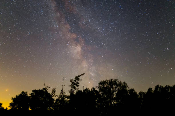 istock night forest silhouette under a milky way 1046390874