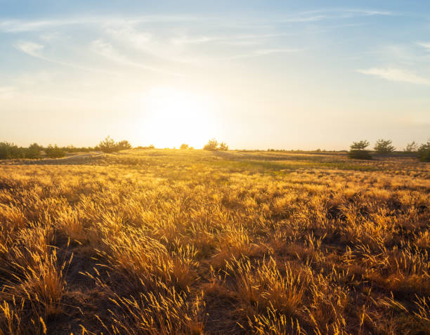 istock quiet hot summer sunset over the sandy prairie 1046390950