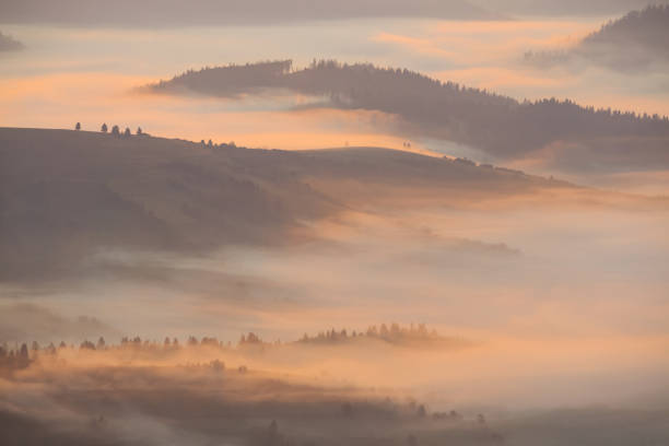 istock mountain valley in a mist at the early morning 1046391142