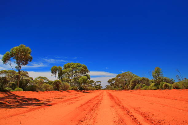 istock Endless outback roads in Australia 1046393528