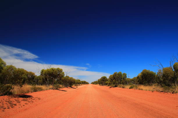 istock Endless outback roads in Australia 1046393696