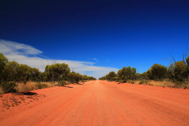 istock Endless outback roads in Australia 1046393746