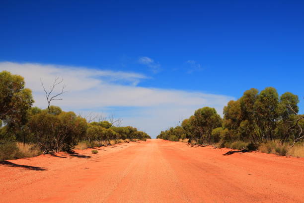 istock Endless outback roads in Australia 1046393840