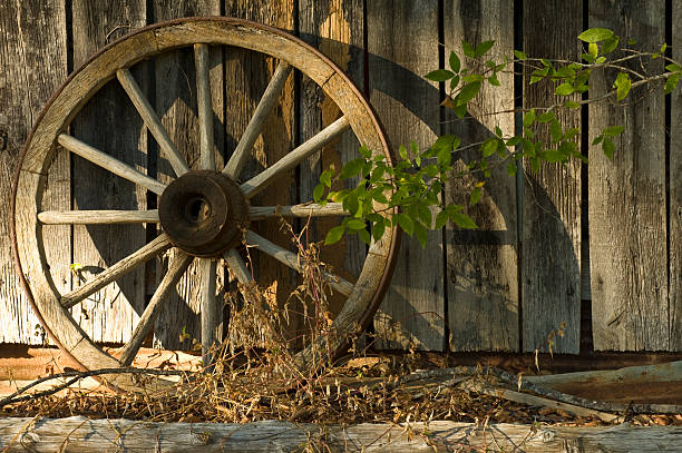 ruota di carro con ombre - wagon wheel foto e immagini stock