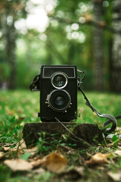 istock Vintage two-lens camera in the wood, selective focus 1046394372