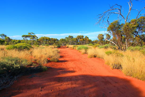 istock Endless outback roads in Australia 1046396940
