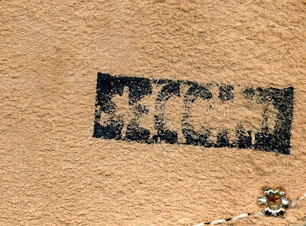 istock Stamped Seconds Suede with stich and buckle 104639700