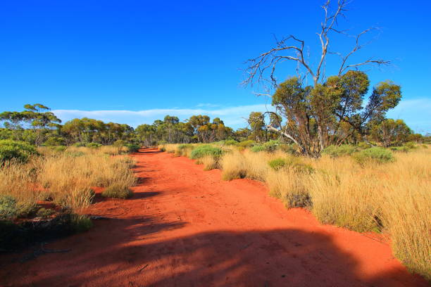 istock Endless outback roads in Australia 1046397026