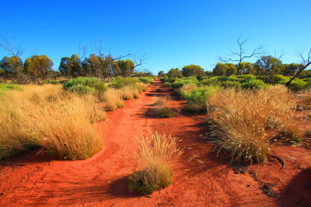 istock Endless outback roads in Australia 1046397216