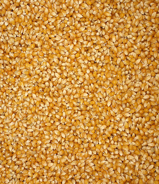 istock Golden Popcorn Food Nutrition Background 104639732