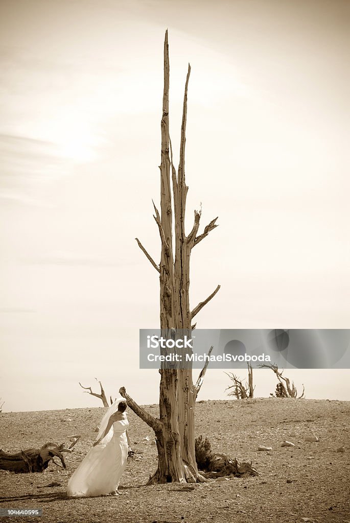 Novia y árbol - Foto de stock de Adulto libre de derechos