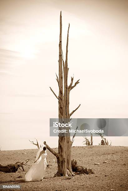 Novia Y Árbol Foto de stock y más banco de imágenes de Adulto - Adulto, Aire libre, Aislado